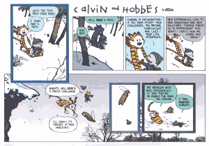 Calvin & Hobbes: "The problem with new experiences is that they're rarely the ones you choose."