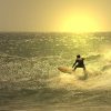 7168901 - sunset surfer in the wave